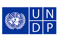 UNDP-logo-scale